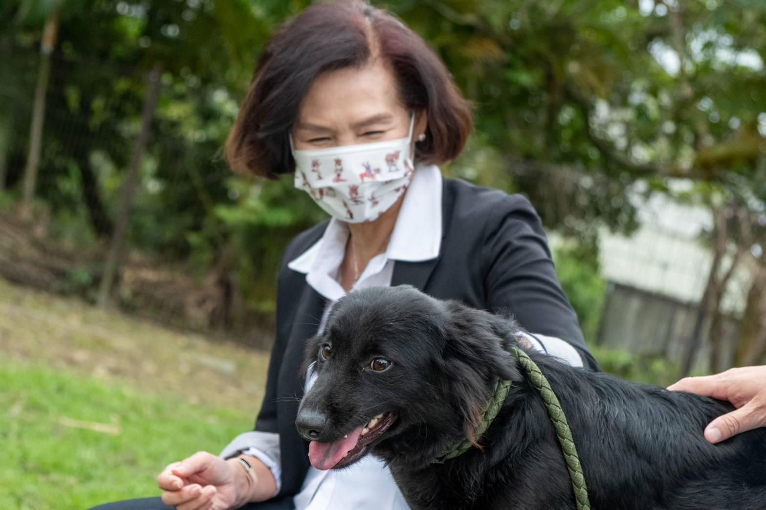 關心動物收容問題林姿妙視察流浪動物中途之家 葛瑪蘭新聞網