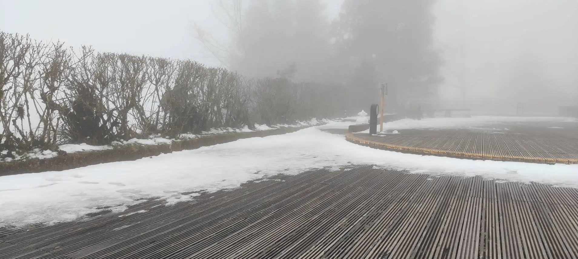 太平山國家森林遊樂區