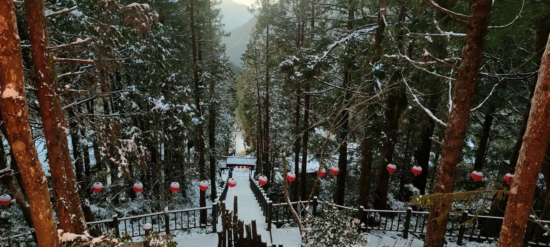 太平山國家森林遊樂區