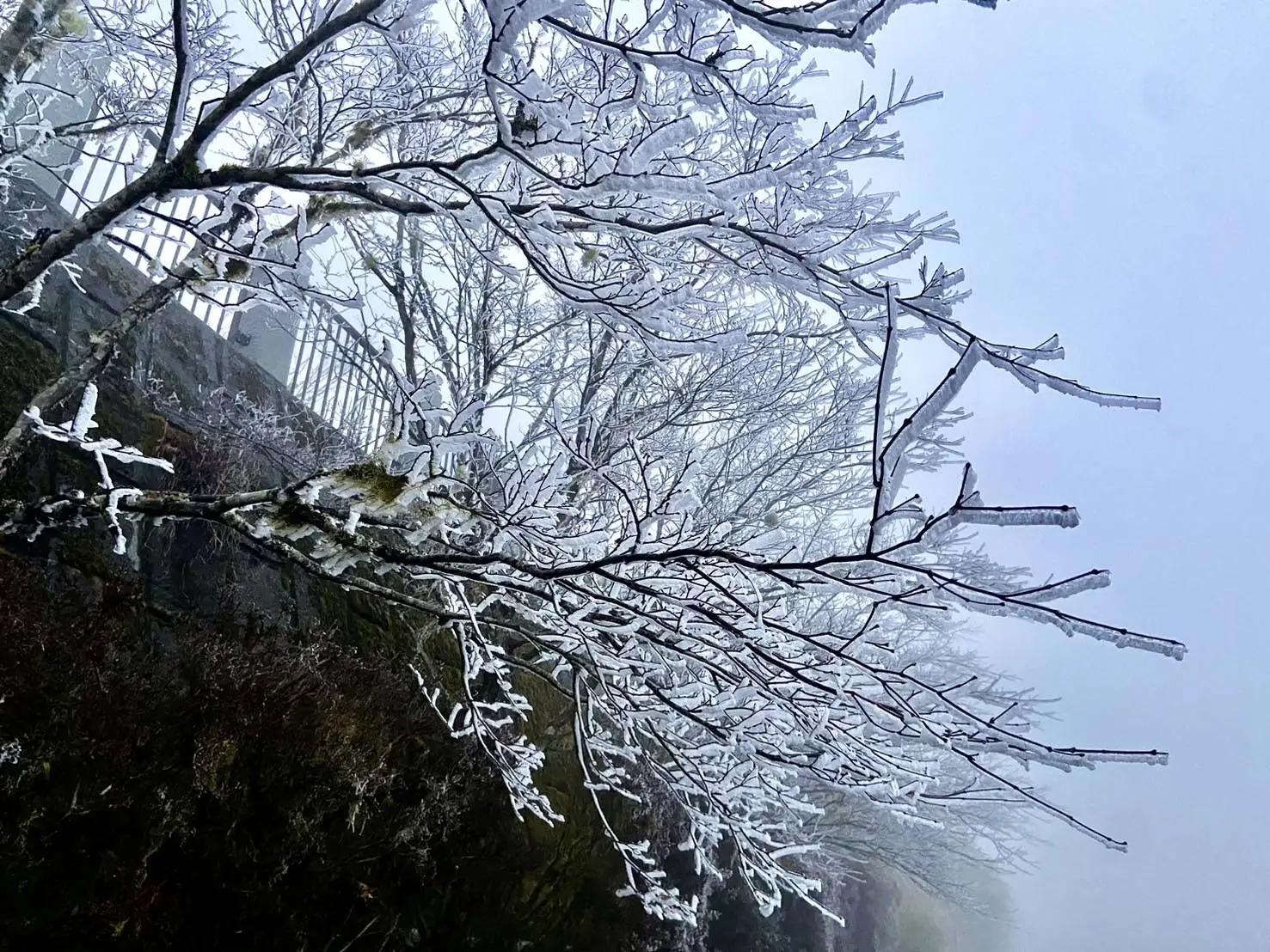 太平山國家森林遊樂區