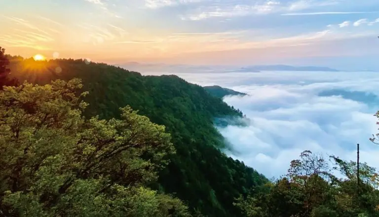 太平山國家森林遊樂區