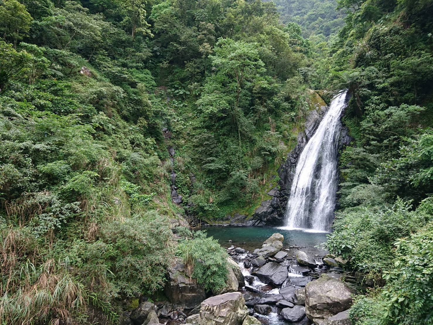 林務局部分森林場域