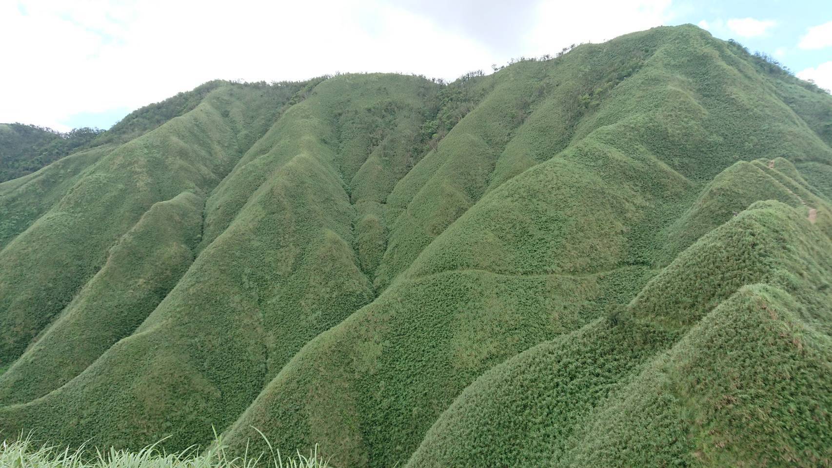 林務局部分森林場域