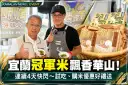 宜蘭冠軍米飄香台北華山！連續4天快閃～試吃、購米送好禮