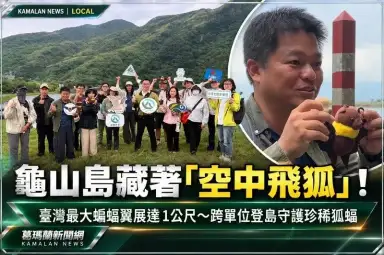 龜山島藏著「空中飛狐」！臺灣最大蝙蝠翼展達1公尺～跨單位登島守護珍稀狐蝠【影音新聞】