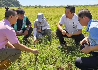 陳俊宇力爭 農業部增加凱米颱風農損救助項目