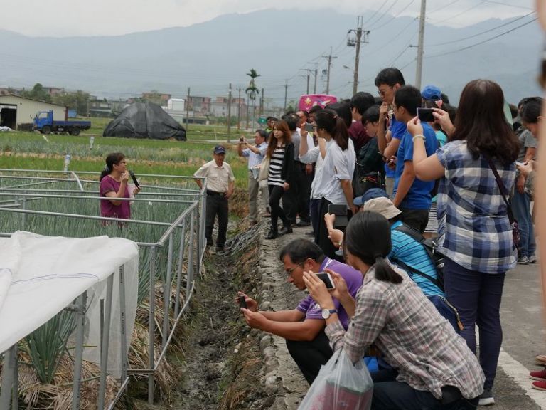 青蔥簡易防颱網室 通過強颱考驗值得推廣