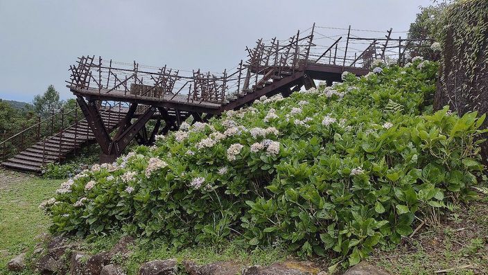 3點定案 林姿妙：必定全力以赴 與日本與那國島交流引發北京關切 游錫堃：「攏驚驚」台灣就走不出去 宜蘭