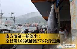 2026南方澳第一鮪誕生！全昌隆168號捕獲276公斤黑鮪，三度奪冠再創紀錄【影音新聞】