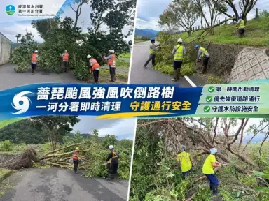 薔琵颱風強風吹倒路樹！一河分署冒雨清除倒木～力拚26日前完成復原