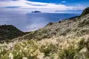 草嶺古道芒花季延期舉辦．龜山島封島3天