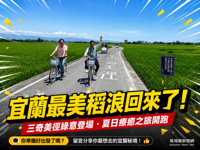 波波草遇上稻香綠浪～冬山夏季最美地景開展